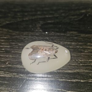 🦋 Lot B/E Real Taxidermy Insect Resin Pendant